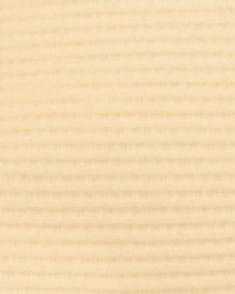 Bib 3 Ply Paper 13x19 500/Cs Beige