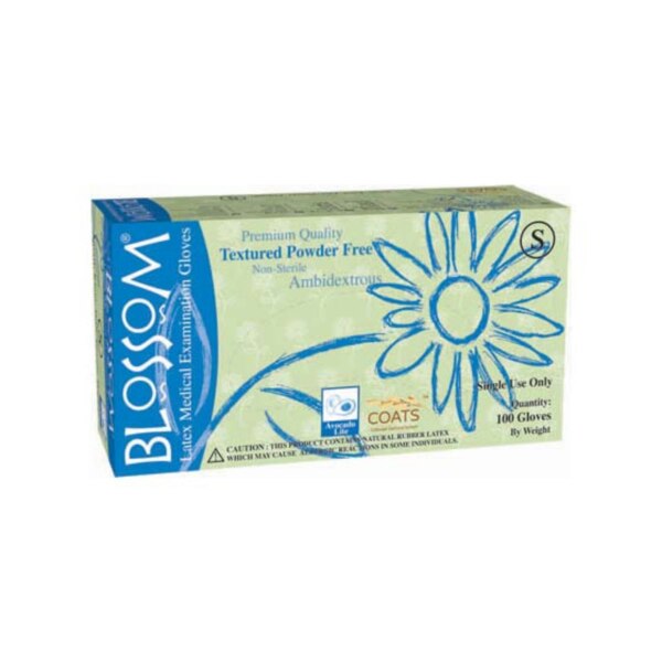 Blossom PF Latex Glove Large 100/Bx